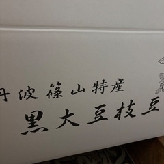 B級品　丹波黒黒枝豆　さや豆　少し肩落ち　おいしい　安いの画像