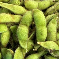 B級品　丹波黒黒枝豆　さや豆　少し肩落ち　おいしい　安いの画像