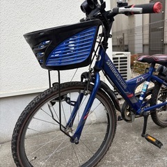 ブリジストン　エクスプレスジュニア　22インチ　自転車の画像