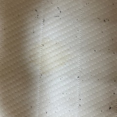 ニトリ　シングルベッド(マットレス含む)の画像