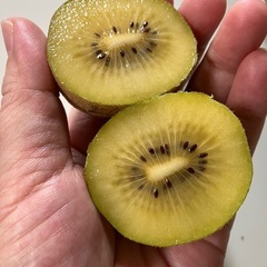 ⭕️食べ頃ゴールドキウイ15個セット🥝有料品お引き取りの場合は無料‼️の画像