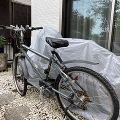 電動マウンテンバイク🚲
の画像