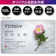 名刺印刷 100枚 両面 フルカラー 紙ケース付 No.2…