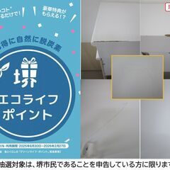 【堺市民限定】(2510-35) シューズボックスの画像