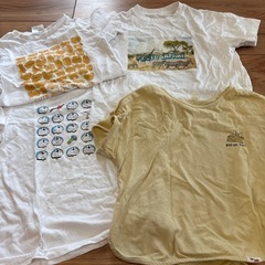 120cm Tシャツまとめの画像