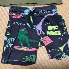 恐竜せっとセットアップの画像