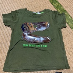 恐竜せっとセットアップの画像