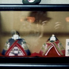 お雛さま人形（博多人形）の画像