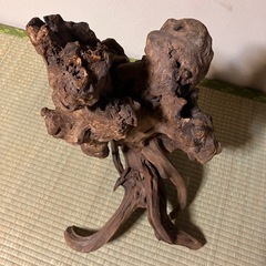 流木の画像