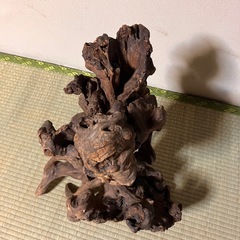流木の画像