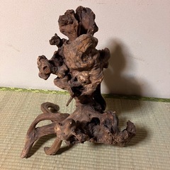 流木の画像