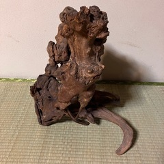 流木の画像