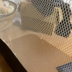 日本育児　おくだけとおせんぼの画像