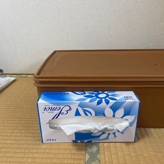 タッパウエア　収納ケース　衣装ケースの画像