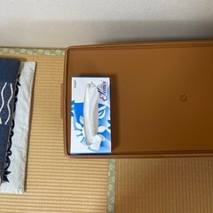 タッパウエア　収納ケース　衣装ケースの画像
