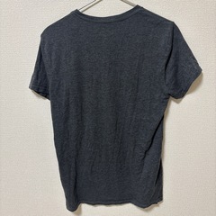 アメリカンイーグル Tシャツの画像