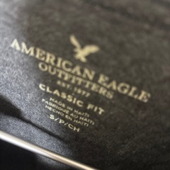 アメリカンイーグル Tシャツの画像