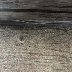 テーブルの画像