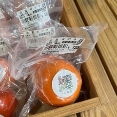 柿・あんぽ柿の袋詰め作業の画像