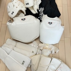 極真空手 防具セットの画像