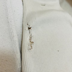 極真空手 防具セットの画像