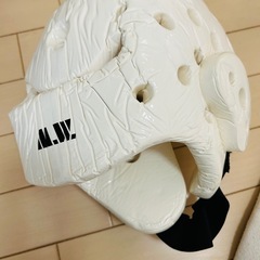 極真空手 防具セットの画像