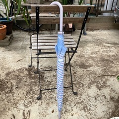 ドリカム傘の画像