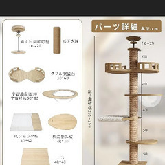 キャットタワーの画像