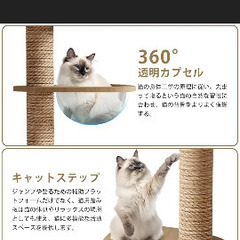 キャットタワーの画像
