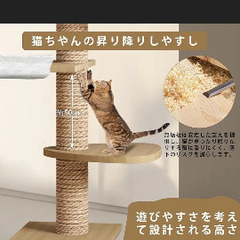 キャットタワーの画像