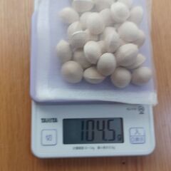 福井のギンナン（銀杏）100ｇ100円の画像