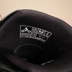 美品 アルパインスターズ SMX-V3 43 27.5cm 購入後 1時間使用の画像