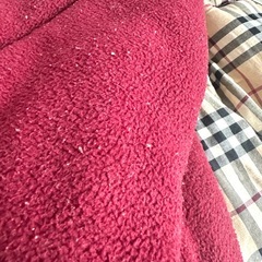 バーバリー　フットマフの画像