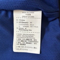 Nike フード付きナイロンジャケット 赤/青の画像