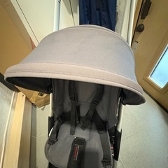 bugaboo ant  バガブーアントの画像