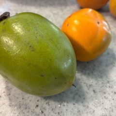 【数量限定】干し柿用　筆柿15個(約2kg)の画像