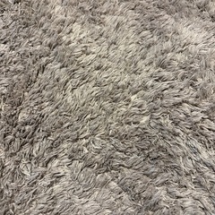 シャギーラグ　カーペット　ニトリの画像