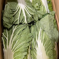 葡萄1箱２キロの画像