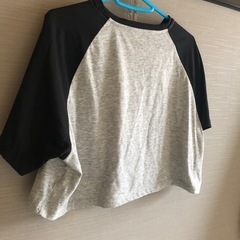 DAZY Tシャツの画像