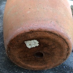 素焼き鉢の画像