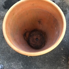 素焼き鉢の画像