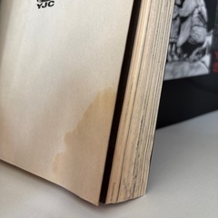 民俗学者八雲樹の画像