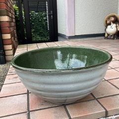 睡蓮鉢の画像