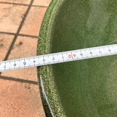 睡蓮鉢の画像
