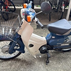 カブの画像