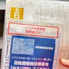 カブの画像