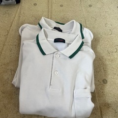 伊丹市内　公立中学校のポロシャツ半袖2枚
の画像