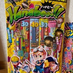 【決まりました】花火　3袋セットの画像