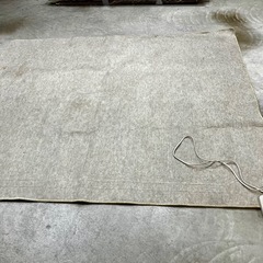 SHARP製ホットカーペットの画像