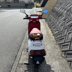 ホンダリードSS50の画像